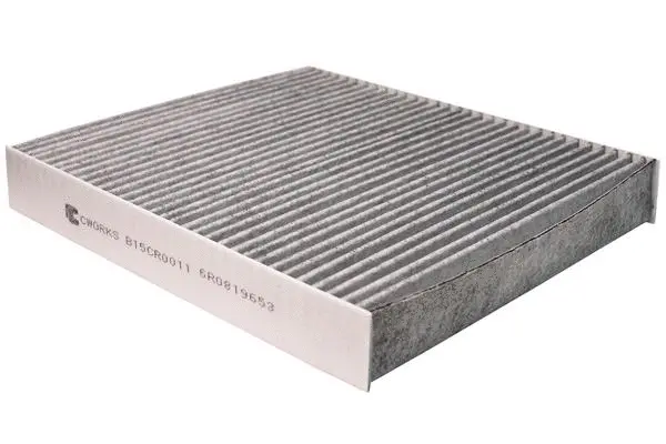 Filter, cabin air (B15CR0011)