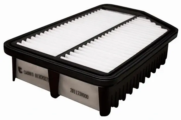 Air Filter (B13CR0078)