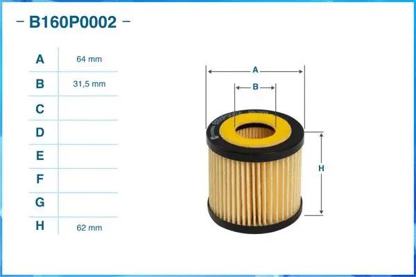 Oil Filter