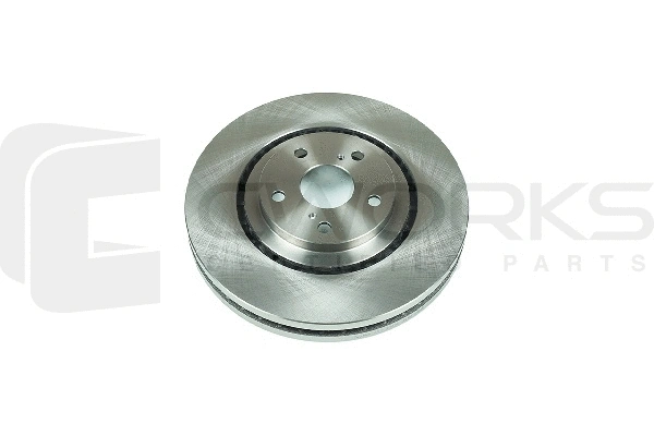 Brake Disc (C210G0032)