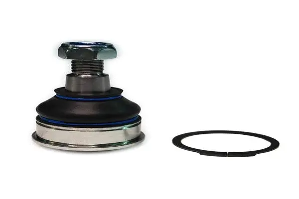 Ball Joint (F260R0017)