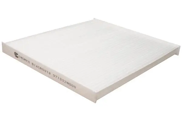 Filter, cabin air (B14CR0018)