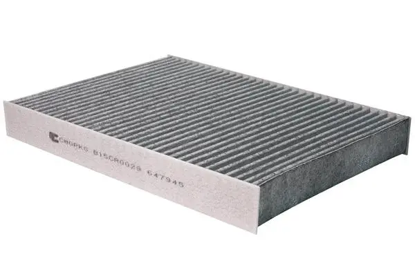 Filter, cabin air (B15CR0029)