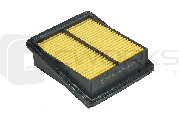 Air Filter (B130G0121)