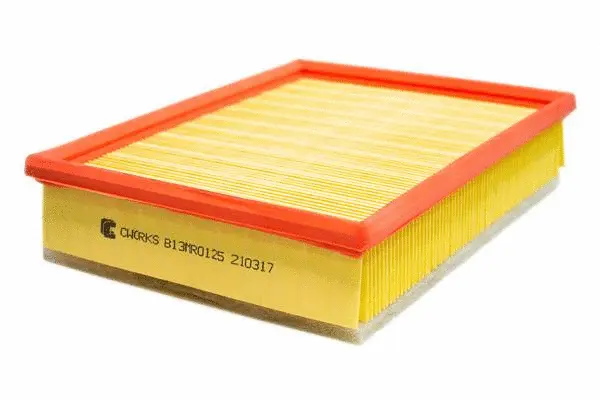 Air Filter (B13MR0125)