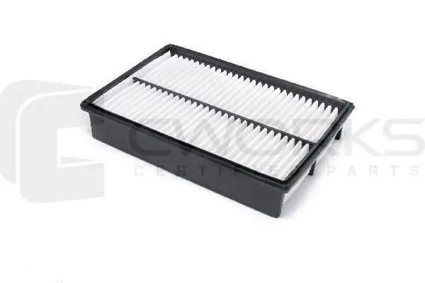 Air Filter (B13MR0050)