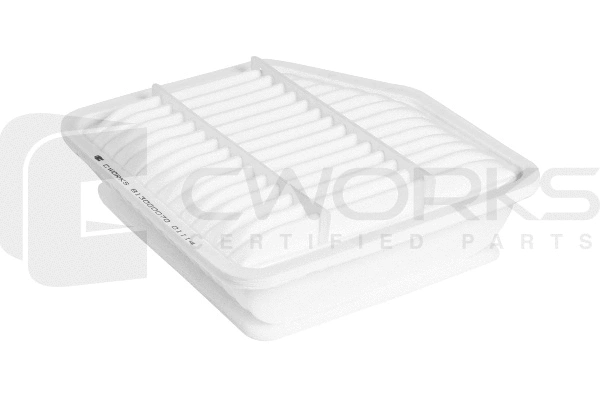 Air Filter (B130G0070)