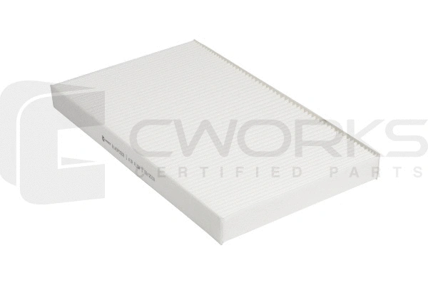 Filter, cabin air (B140P0009)