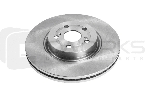 Brake Disc (C210G0024)