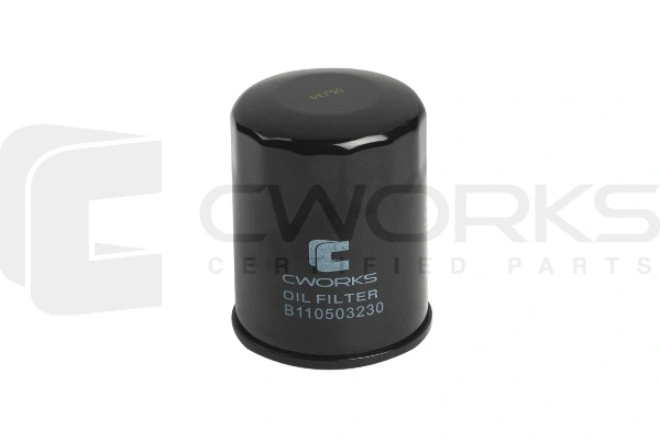 Oil Filter (B110503230)