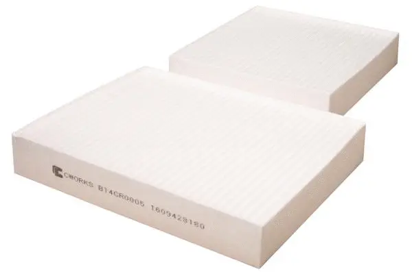Filter, cabin air (B14CR0005)