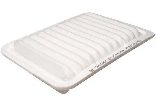 Air Filter (B13CR0099)