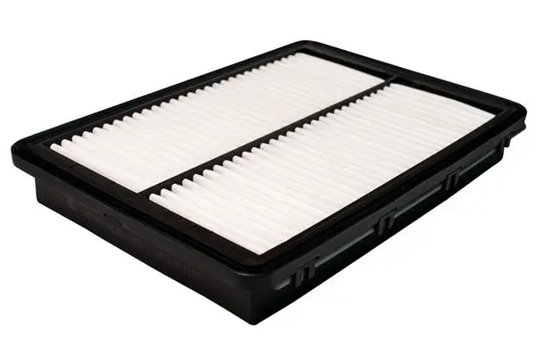 Air Filter (B13CR0037)
