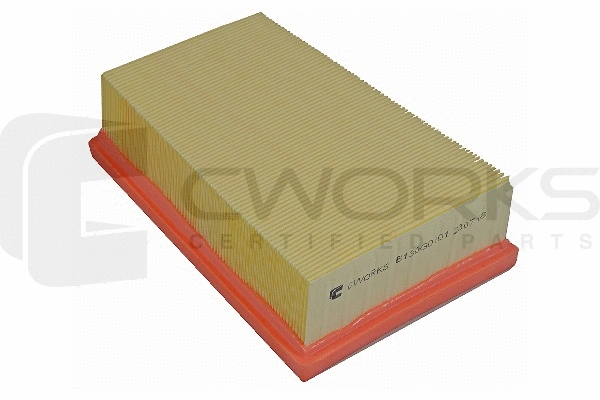 Air Filter (B130G0101)