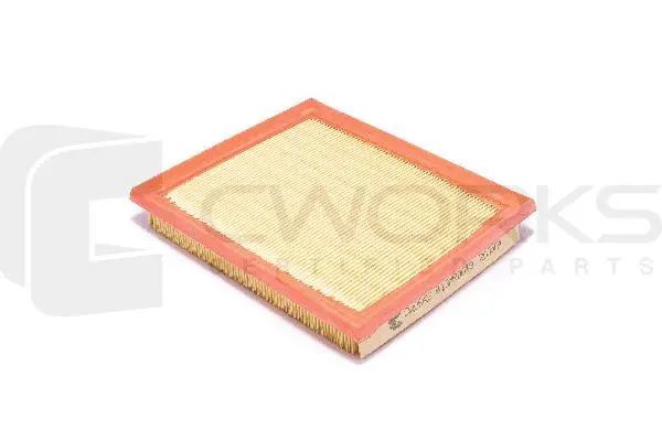 Air Filter (B13MR0049)