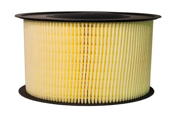 Air Filter (B13CR0058)