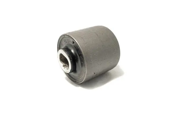 Mounting, control/trailing arm (F280R0054)