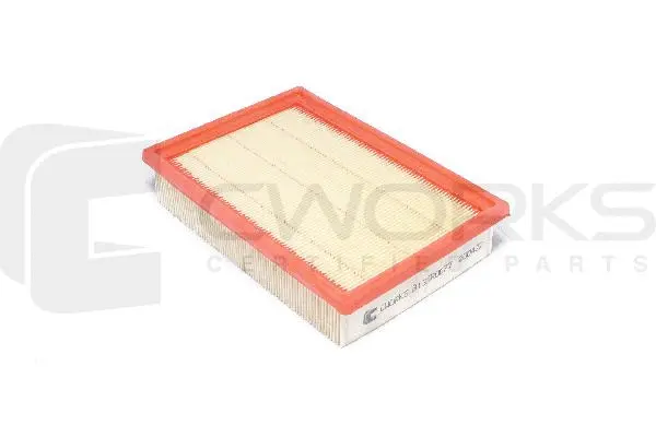 Air Filter (B13MR0077)