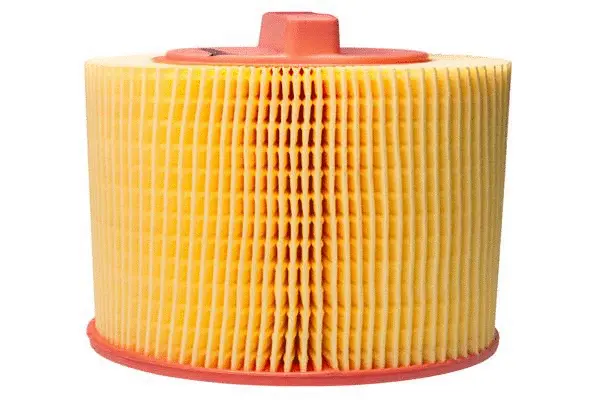 Air Filter (B13CR0043)