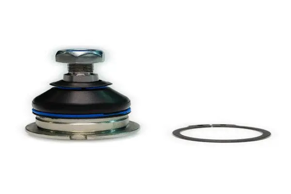 Ball Joint (F260R0018)