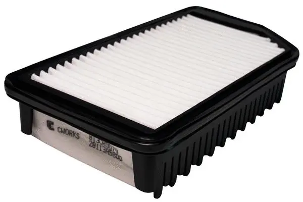 Air Filter (B13CR0079)