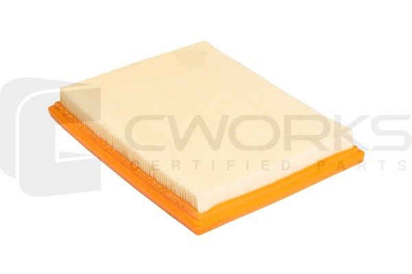 Air Filter (B130P0020)