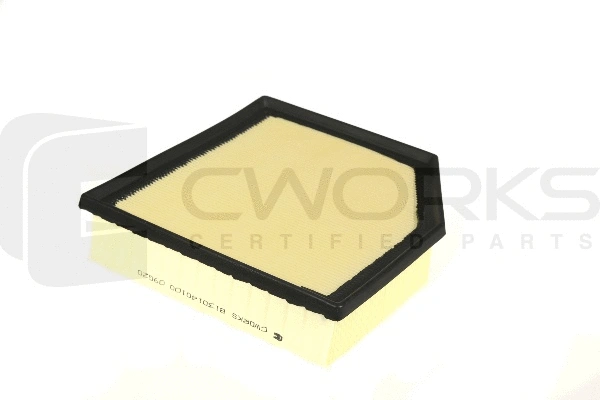 Air Filter (B130140100)