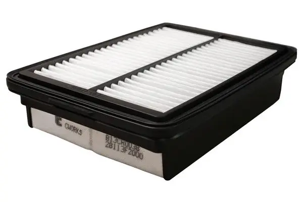 Air Filter (B13CR0038)