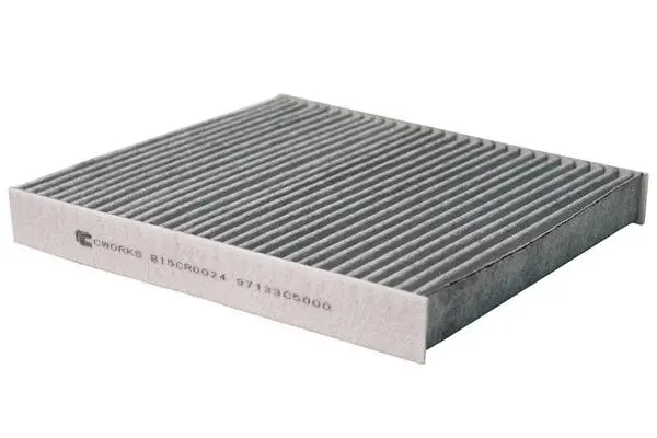 Filter, cabin air (B15CR0024)