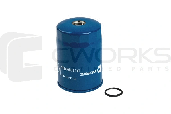 Fuel Filter (B120R0006)
