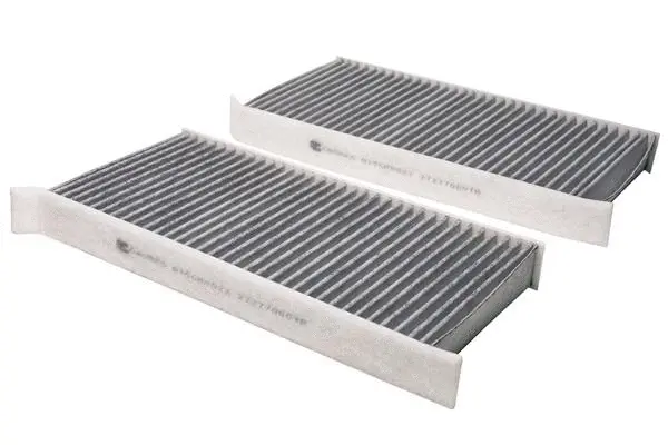 Filter, cabin air (B15CR0022)