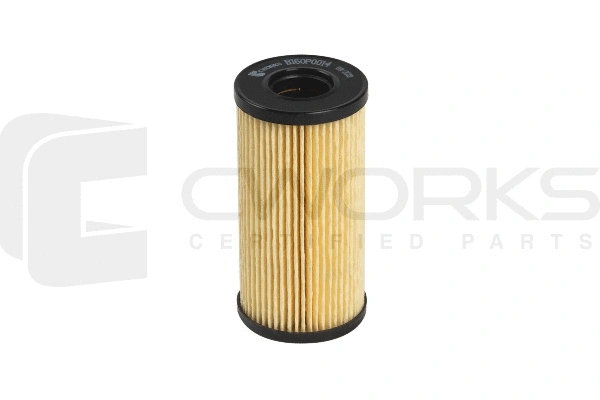 Oil Filter (B160P0014)