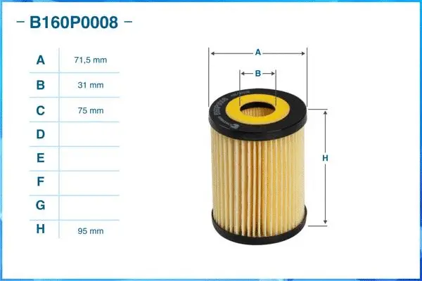Oil Filter