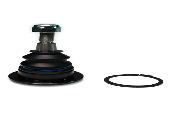 Ball Joint (F260R0021)