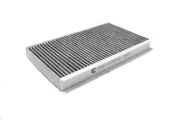 Filter, cabin air (B15MR0004)