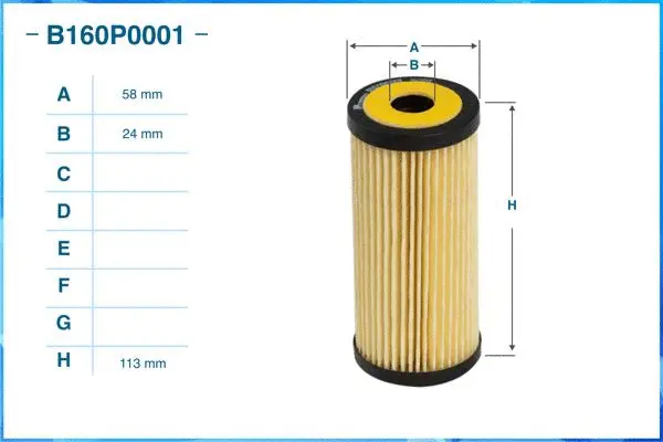 Oil Filter