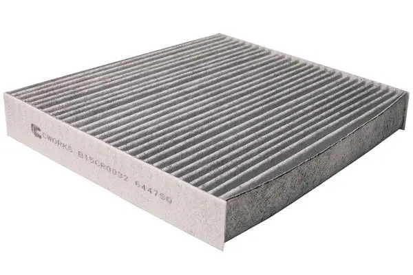 Filter, cabin air (B15CR0032)