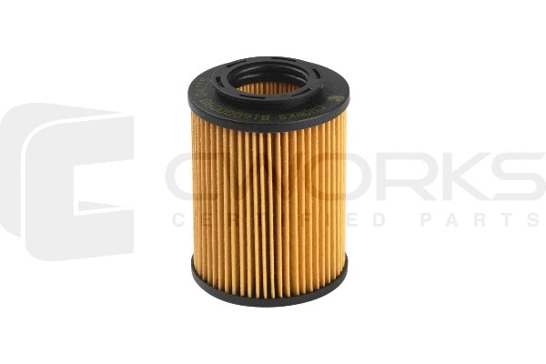 Oil Filter (B160G0090)
