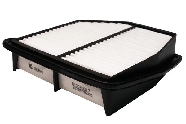 Air Filter (B13CR0017)