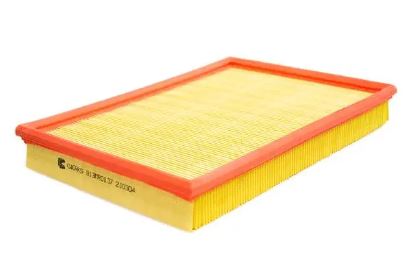Air Filter (B13MR0137)