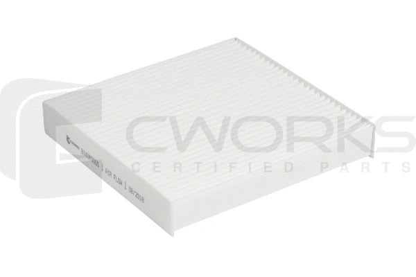 Filter, cabin air (B140P0005)