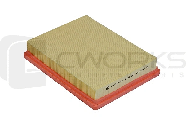 Air Filter (B130G0119)