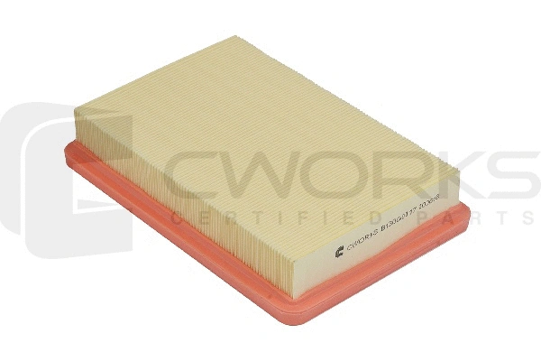 Air Filter (B130G0117)