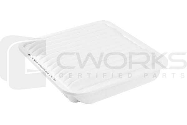 Air Filter (B130G0088)