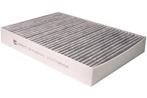 Filter, cabin air (B15CR0031)