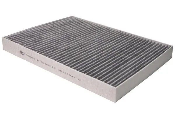 Filter, cabin air (B15CR0013)