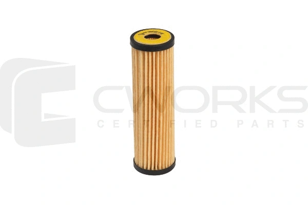 Oil Filter (B160P0010)
