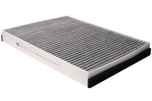 Filter, cabin air (B15CR0014)