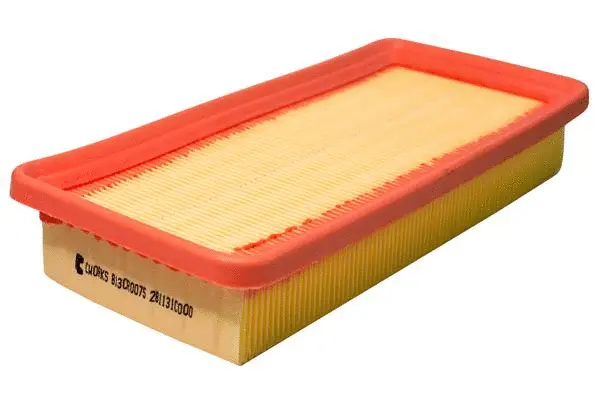 Air Filter (B13CR0075)