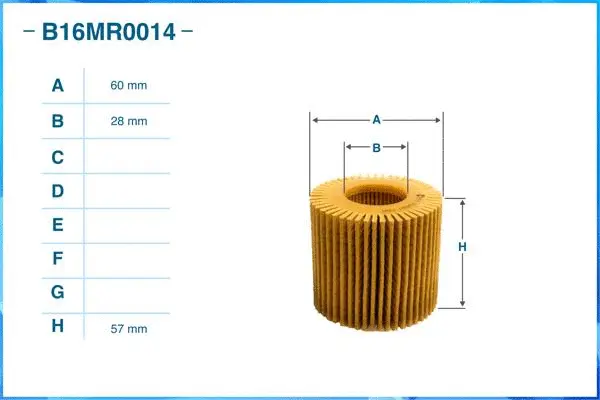 Oil Filter